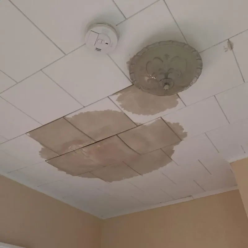 Ceiling Water Damage Repair in Hull, IA