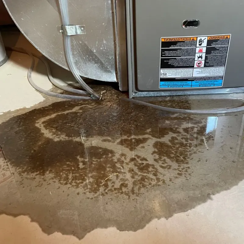 Pipe Burst and Leak Restoration in Hull, IA