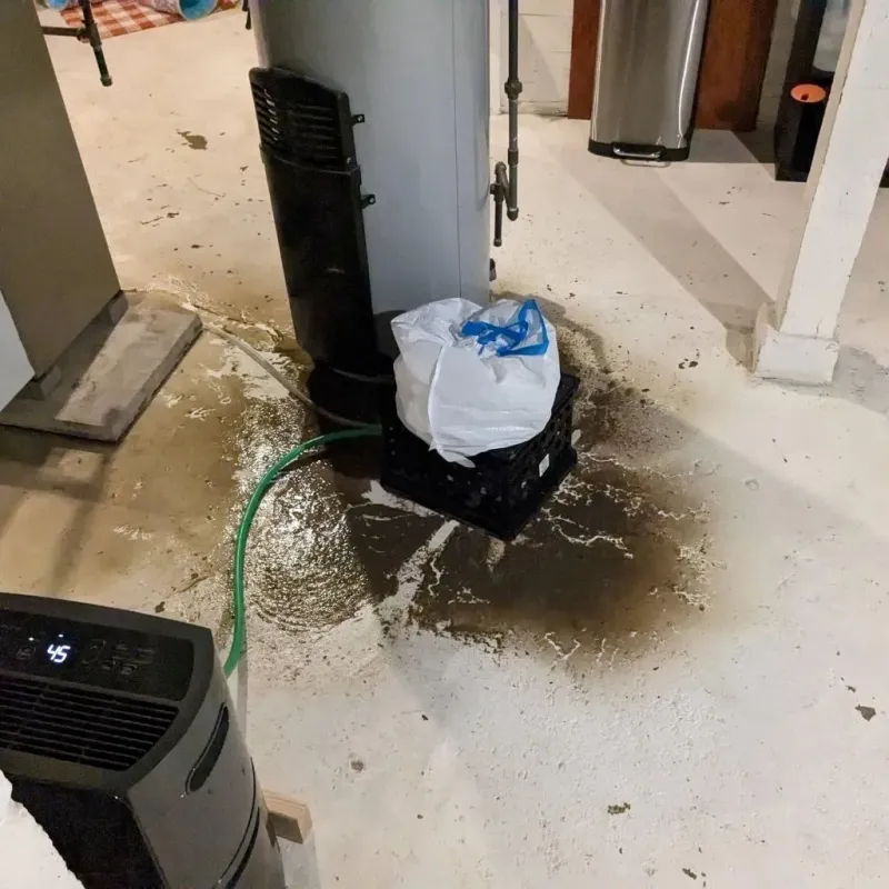 Sewage Backup Cleanup Service in Hull, IA